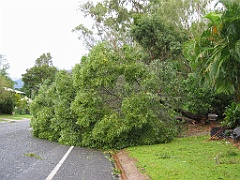 Cairns14 Cyclone Larry